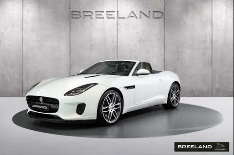 Used JAGUAR F-TYPE Petrol 2019 Ad 