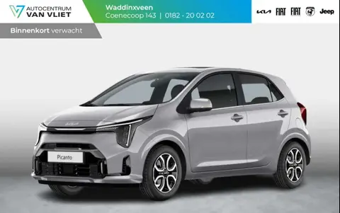 Annonce KIA PICANTO Essence 2024 d'occasion 