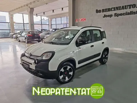 Annonce FIAT PANDA Essence 2019 d'occasion 