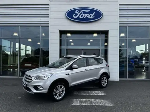 Annonce FORD KUGA  2019 d'occasion 