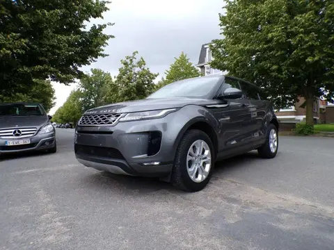 Annonce LAND ROVER RANGE ROVER EVOQUE Diesel 2019 d'occasion 