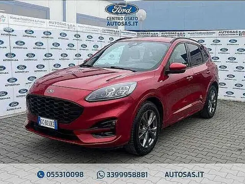 Annonce FORD KUGA Diesel 2020 d'occasion 