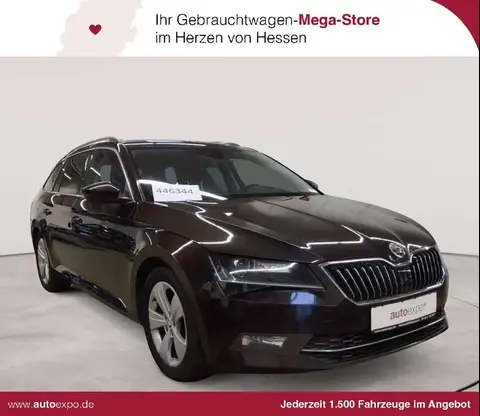 Annonce SKODA SUPERB Diesel 2019 d'occasion 