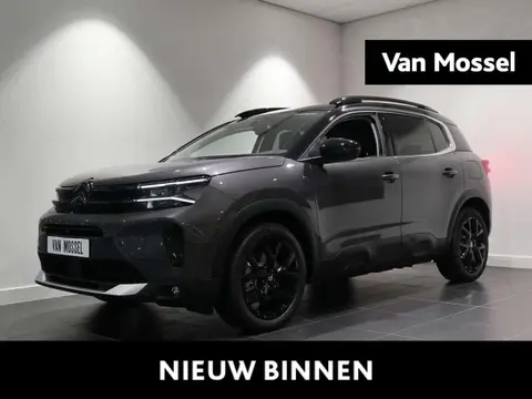 Annonce CITROEN C5 AIRCROSS Hybride 2024 d'occasion 