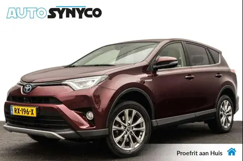 Used TOYOTA RAV4 Hybrid 2016 Ad 