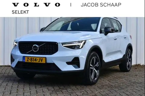 Used VOLVO XC40 Hybrid 2024 Ad 