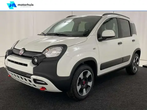 Annonce FIAT PANDA Hybride 2024 d'occasion 