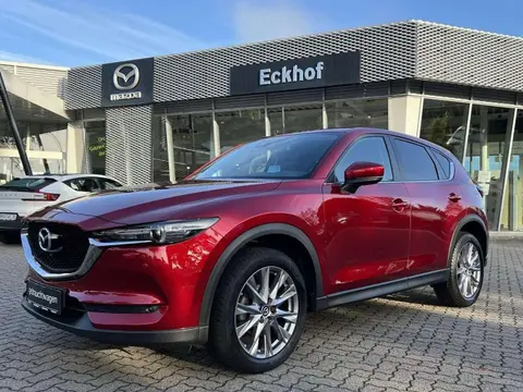 Used MAZDA CX-5 Petrol 2020 Ad 