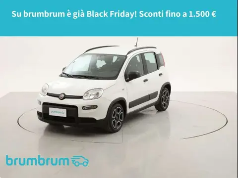 Used FIAT PANDA Hybrid 2022 Ad 