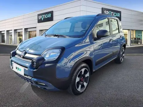 Annonce FIAT PANDA Essence 2021 d'occasion 