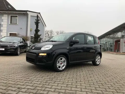 Annonce FIAT PANDA Essence 2024 d'occasion 