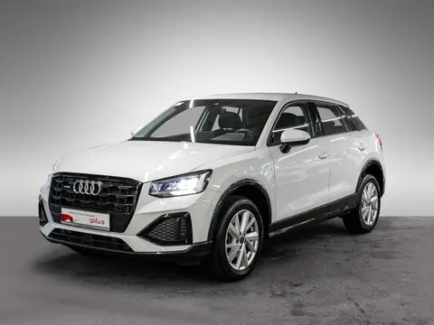 Used AUDI Q2 Petrol 2024 Ad Germany