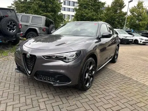 Annonce ALFA ROMEO STELVIO Essence 2024 d'occasion 