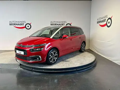 Annonce CITROEN C4 Diesel 2020 d'occasion 