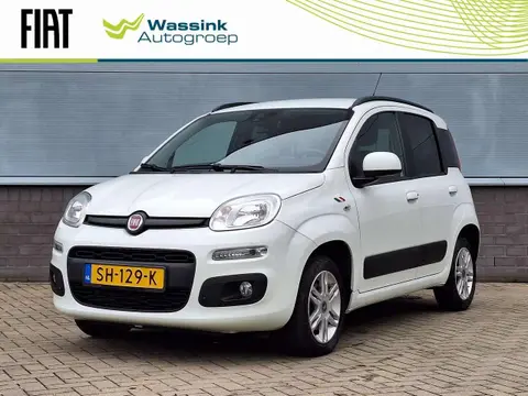 Annonce FIAT PANDA Essence 2018 d'occasion 