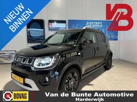 Annonce SUZUKI IGNIS Hybride 2023 d'occasion 