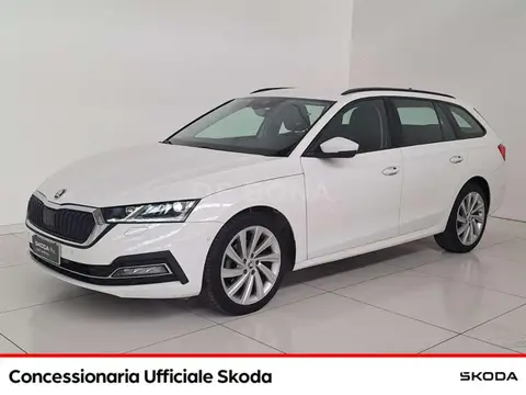 Used SKODA OCTAVIA Diesel 2020 Ad 