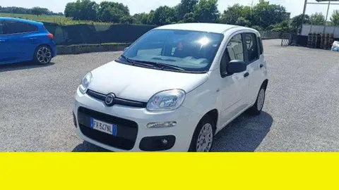 Used FIAT PANDA Petrol 2019 Ad 