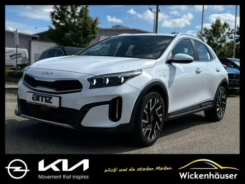 Used KIA XCEED Petrol 2023 Ad 