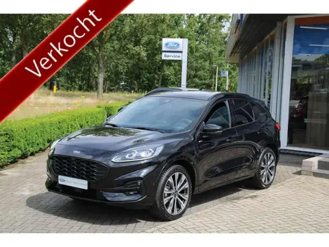 Annonce FORD KUGA Hybride 2023 d'occasion 