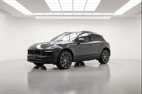 Annonce PORSCHE MACAN Essence 2024 d'occasion 