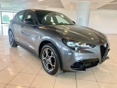 Annonce ALFA ROMEO STELVIO Diesel 2023 d'occasion 