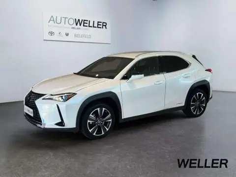 Used LEXUS UX Hybrid 2022 Ad 