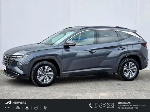 Annonce HYUNDAI TUCSON Hybride 2023 d'occasion 