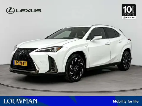 Used LEXUS UX Hybrid 2022 Ad 