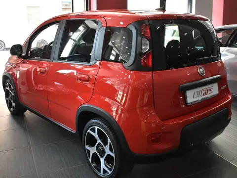 Annonce FIAT PANDA Hybride 2022 d'occasion 