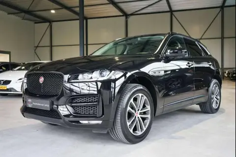 Used JAGUAR F-PACE Petrol 2018 Ad 