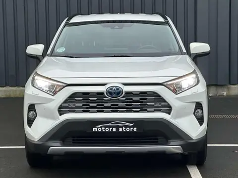 Used TOYOTA RAV4 Hybrid 2019 Ad 