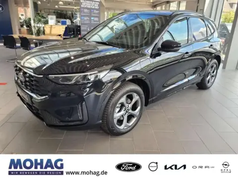 Used FORD KUGA Hybrid 2024 Ad 