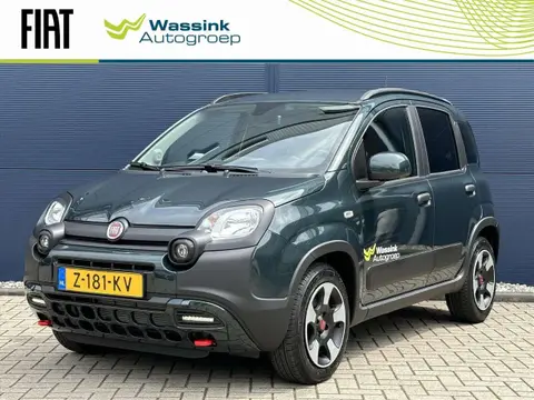 Used FIAT PANDA Hybrid 2024 Ad 