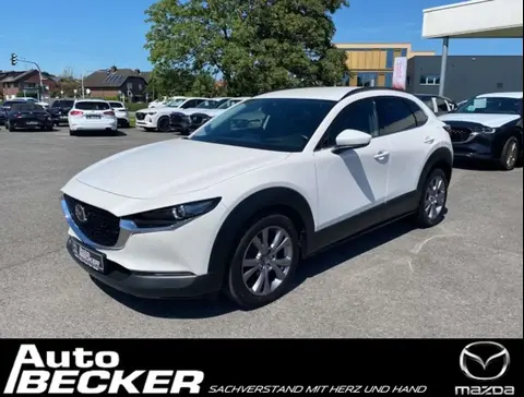 Used MAZDA CX-30 Hybrid 2021 Ad 