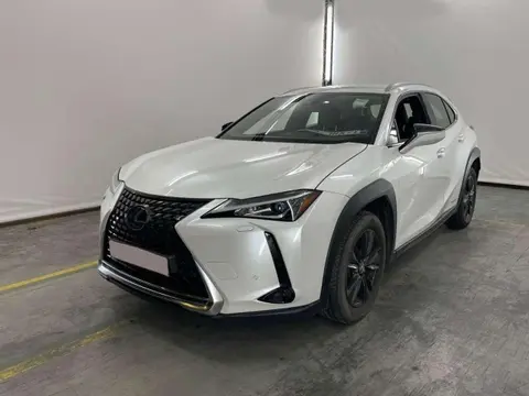 Annonce LEXUS UX Hybride 2020 d'occasion 