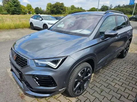 Used CUPRA ATECA Petrol 2024 Ad 