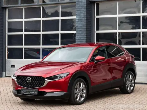 Annonce MAZDA CX-30 Essence 2020 d'occasion 