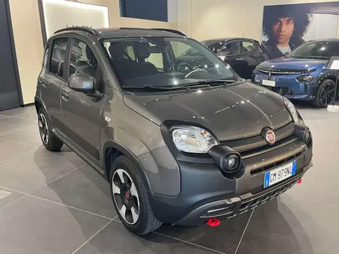 Used FIAT PANDA Hybrid 2023 Ad 