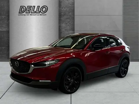 Annonce MAZDA CX-30 Essence 2024 d'occasion 