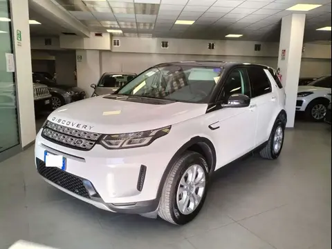 Used LAND ROVER DISCOVERY Hybrid 2020 Ad 