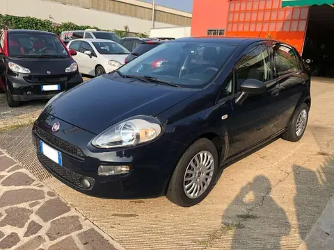 Annonce FIAT PUNTO Essence 2017 d'occasion 