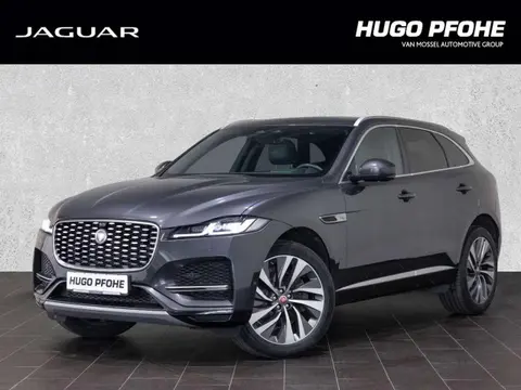 Used JAGUAR F-PACE Diesel 2021 Ad 