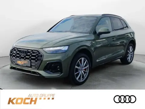 Used AUDI Q5 Diesel 2024 Ad 