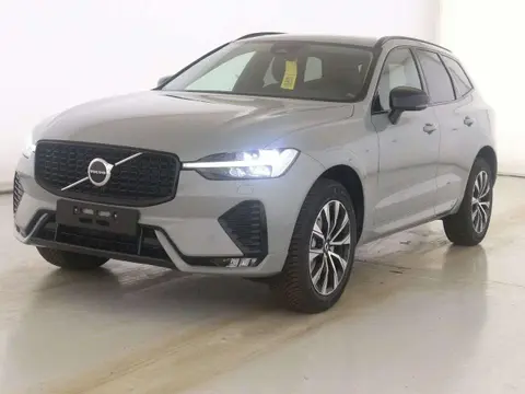 Annonce VOLVO XC60 Diesel 2023 d'occasion 