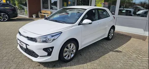 Annonce KIA RIO Essence 2023 d'occasion 