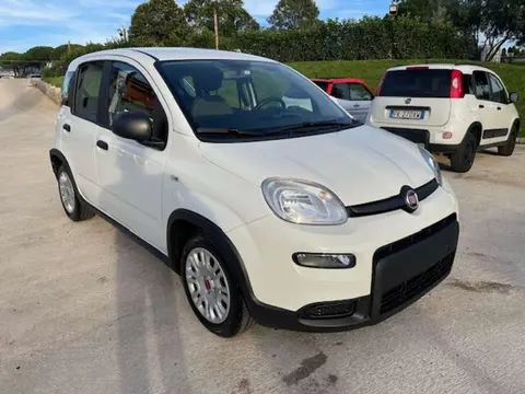 Annonce FIAT PANDA Hybride 2022 d'occasion 