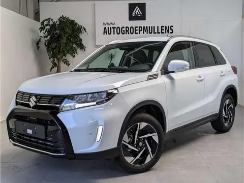 Used SUZUKI VITARA Hybrid 2024 Ad 