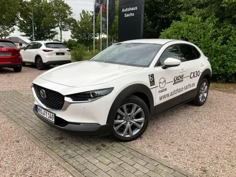 Used MAZDA CX-30 Petrol 2023 Ad 