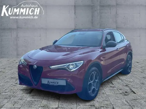 Used ALFA ROMEO STELVIO Diesel 2019 Ad Germany